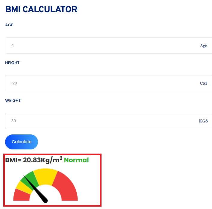 Screenshot of Toolerz's BMI Calculator