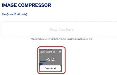 Screenshot of Toolerz's Image Compressor